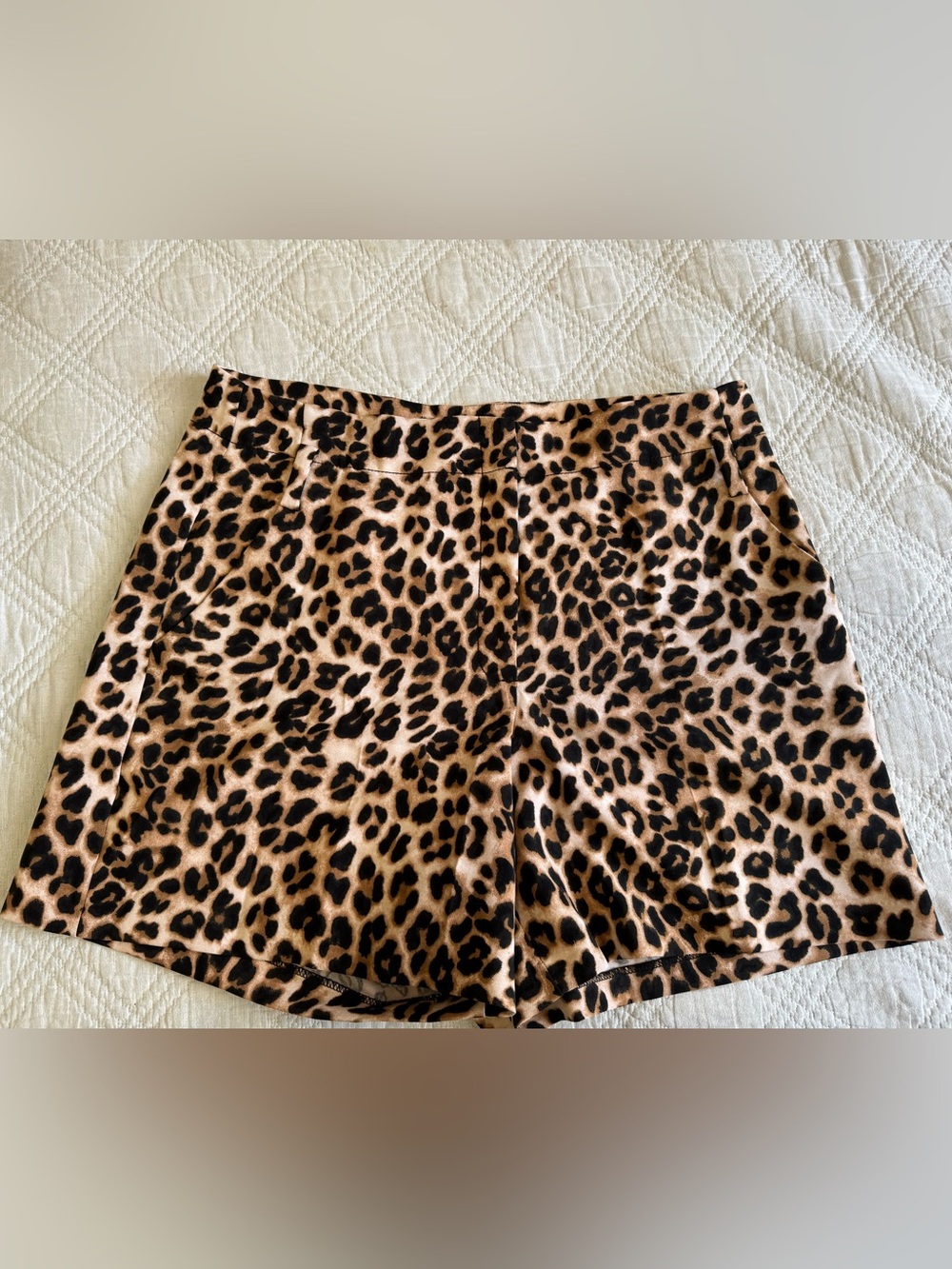 New York & Company 7th Ave Leopard Shorts 18